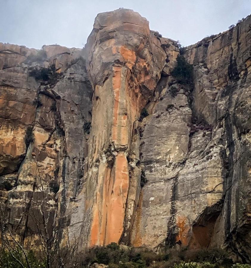 Buffalo Hills Private Game Reserve Harrismith Εξωτερικό φωτογραφία