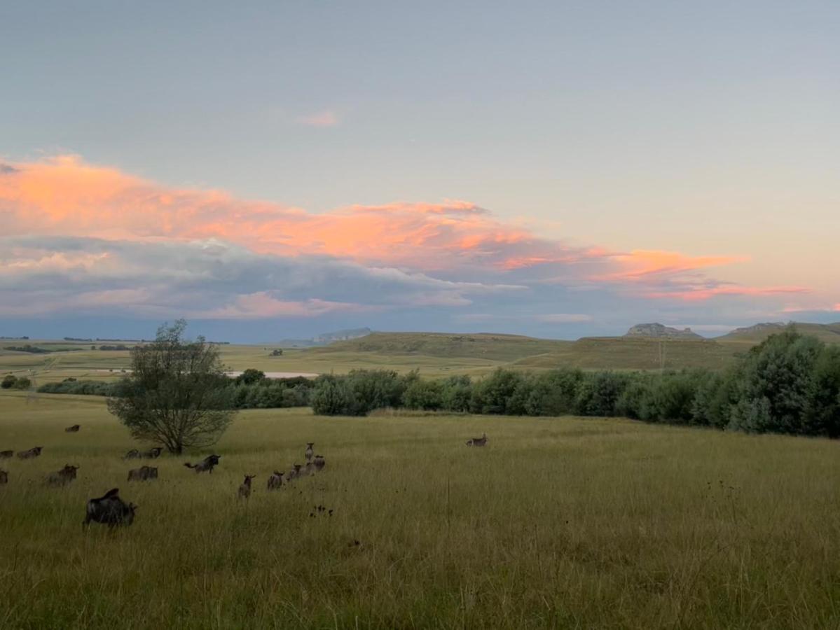Buffalo Hills Private Game Reserve Harrismith Εξωτερικό φωτογραφία