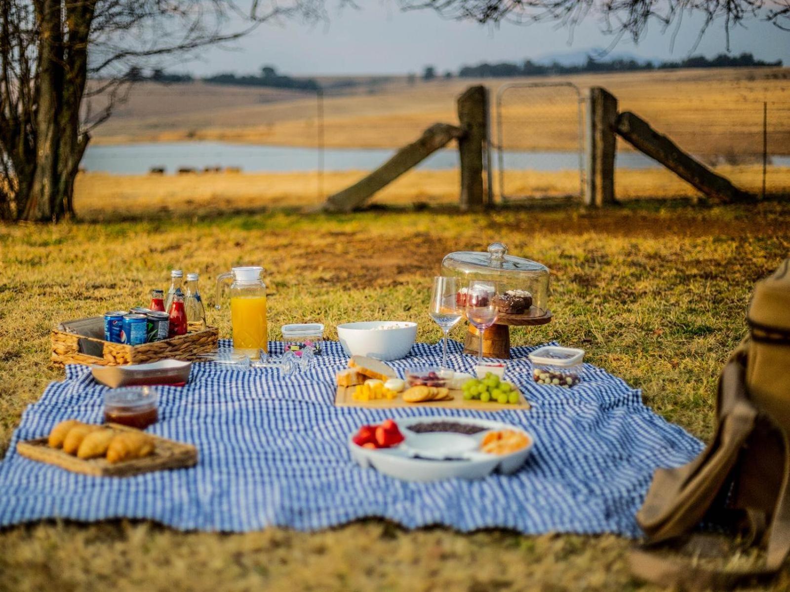 Buffalo Hills Private Game Reserve Harrismith Δωμάτιο φωτογραφία