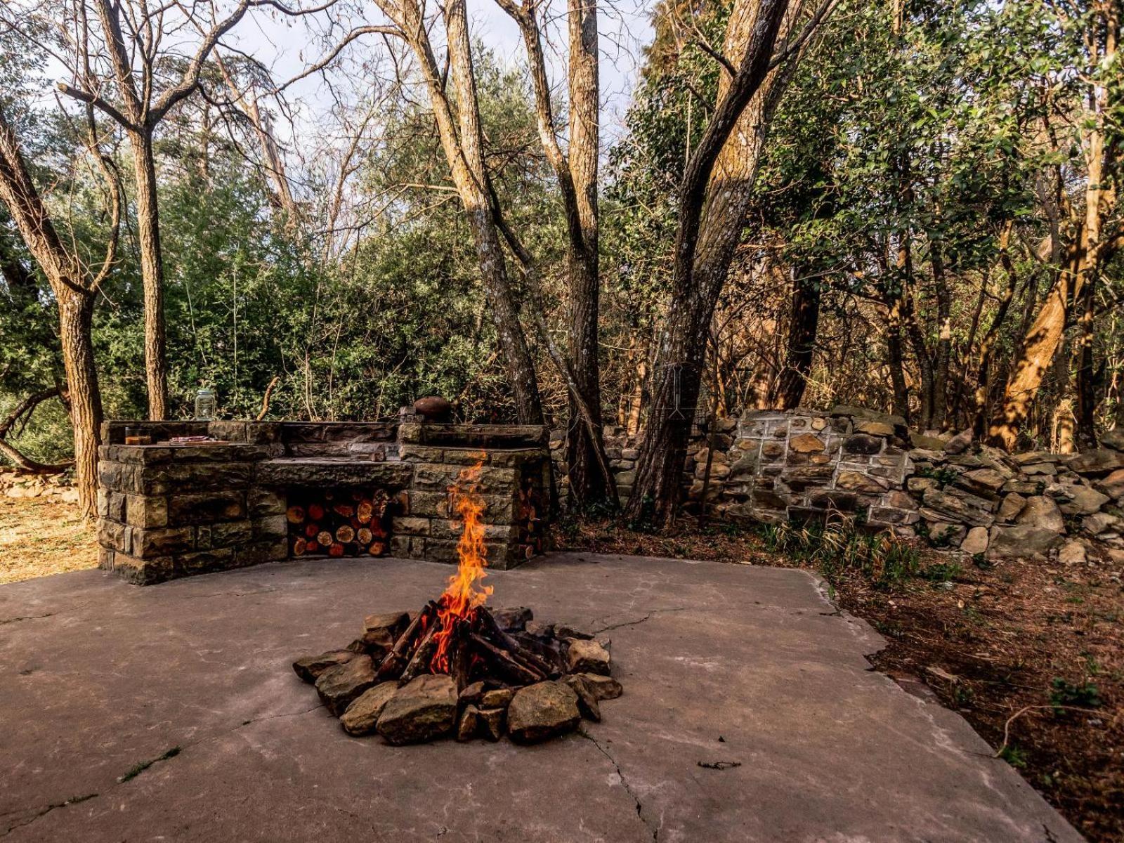 Buffalo Hills Private Game Reserve Harrismith Δωμάτιο φωτογραφία