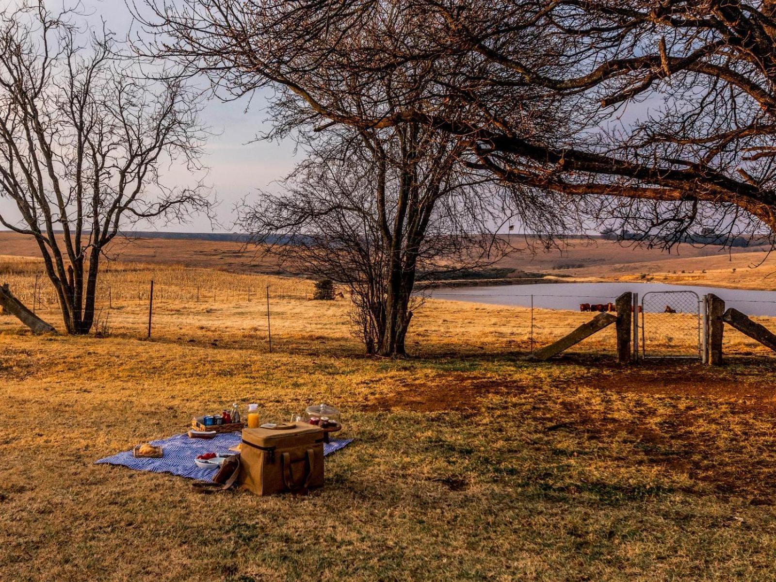 Buffalo Hills Private Game Reserve Harrismith Δωμάτιο φωτογραφία